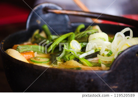 Hoto with plenty of vegetables Hoto with plenty of vegetables 119520589