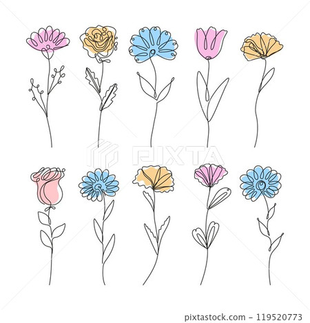 beautiful collection of field and garden flowers, including daisies, roses, cornflowers, and asters, all rendered in a continuous line styl 119520773