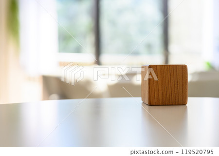 房間裡的照片 119520795