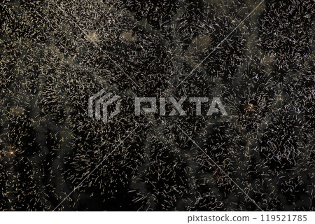 Light rays from fireworks on a dark background. 119521785