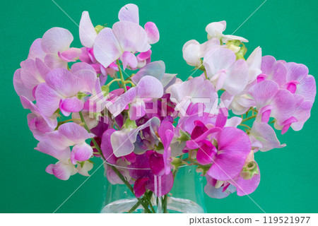 Bouquet of sweet peas in a glass container Bouquet of sweet peas in a glass container 119521977
