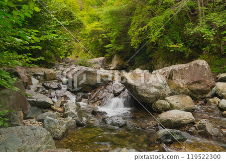新綠、紅葉、河川活動 關西推薦旅遊景點 新綠、紅葉、河川活動 關西推薦旅遊景點 119522300