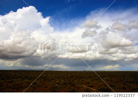 Central Sonora Desert Arizona 119522337