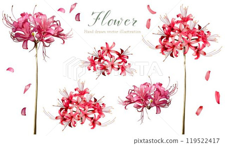 Higanbana material set Higanbana material set 119522417