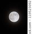 moon floating in the night sky 119523092