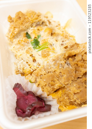 美味的炸肉排飯碗 美味的炸肉排飯碗 119523285