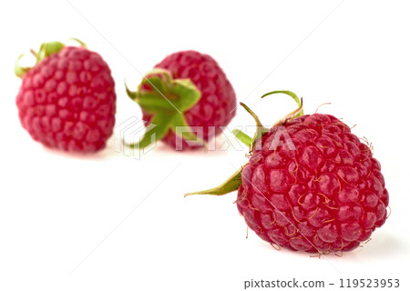 berries of ripe red raspberries with green stalks isolated on white table 119523953