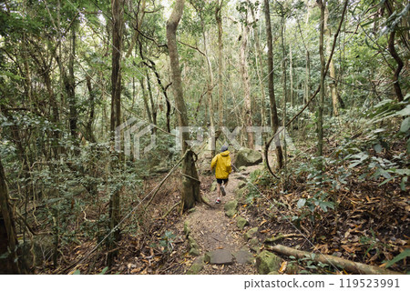 孩子在山上奔跑 119523991
