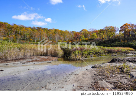 新雪谷湯本溫泉大湯沼旁的水坑？ （蘭越町） 119524990