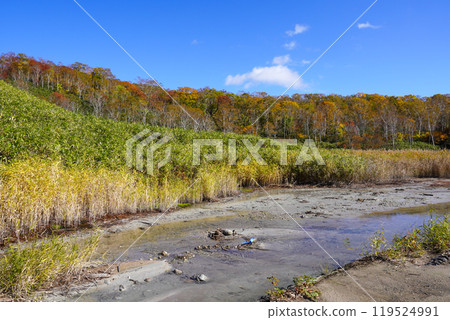 新雪谷湯本溫泉大湯沼旁的水坑？ （蘭越町） 119524991