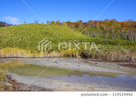 A puddle next to Oyunuma in Niseko Yumoto Onsen? (Ranko Town) 119524992