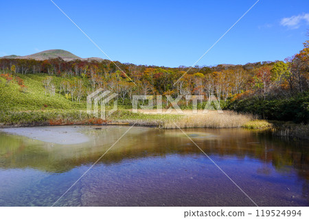 新雪谷湯本溫泉大湯沼旁的水坑？ （蘭越町） 119524994