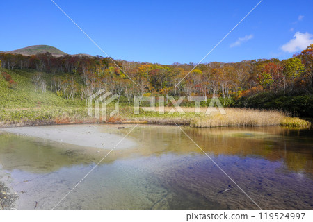 新雪谷湯本溫泉大湯沼旁的水坑？ （蘭越町） 119524997