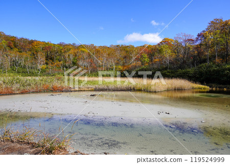 A puddle next to Oyunuma in Niseko Yumoto Onsen? (Ranko Town) 119524999