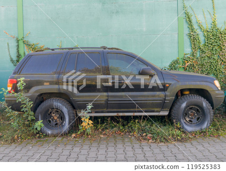 Abandoned Dusty SUV with Overgrown Vegetation 119525383