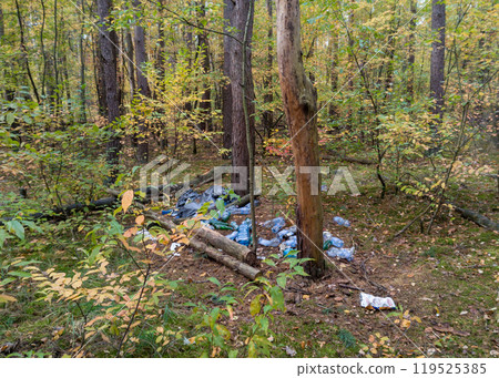 Plastic Waste Littering Forest Floor in Autumn 119525385