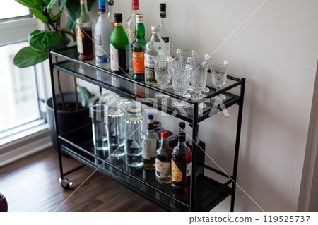 Stylish minimalist bar cart with a selection of spirits and sophisticated glassware by a window 119525737