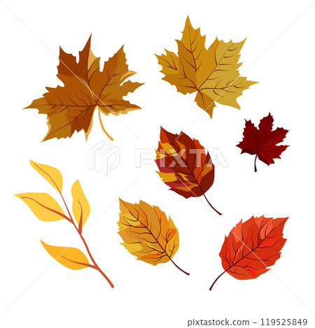 Set of vector autumn yellow dry leaves. Flat illustration with brown plants for design Set of vector autumn yellow dry leaves. Flat illustration with brown plants for design 119525849