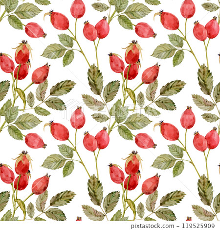 Watercolor dog-rose Briar pattern, berries and green leaves isolated on white background. Hand drawn botanical briar brunches. Clipart for herbal tea label. 119525909