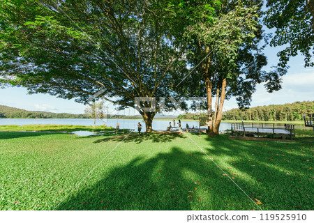 Landscape view n national park,Phayao ,Thailand Landscape view n national park,Phayao ,Thailand 119525910