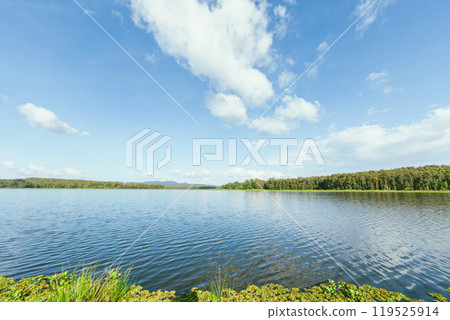 Landscape view   n national park,Phayao ,Thailand 119525914