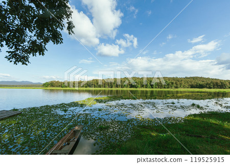 Landscape view   n national park,Phayao ,Thailand 119525915