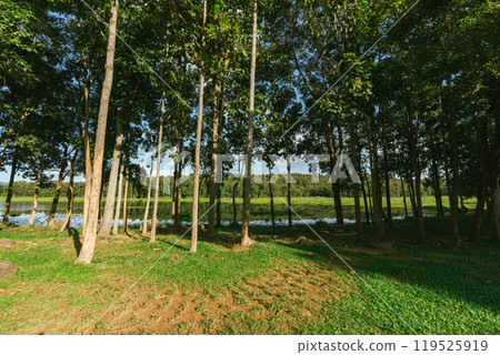 Landscape view n national park,Phayao ,Thailand Landscape view n national park,Phayao ,Thailand 119525919