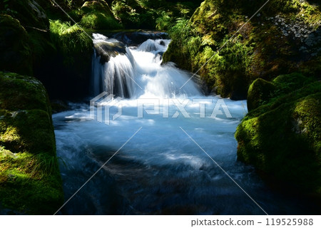 Niyodogawa Town, Kochi Prefecture: The beautiful flow of the Iwaya River, a tributary of the Niyodo River, in the spring sunshine Niyodogawa Town, Kochi Prefecture: The beautiful flow of the Iwaya River, a tributary of the Niyodo River, in the spring sunshine 119525988