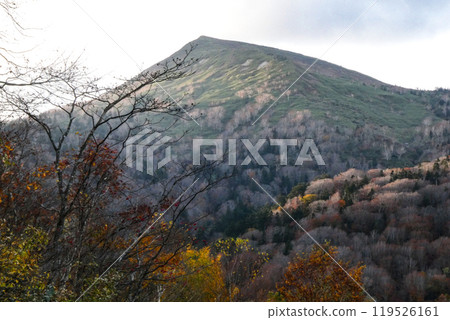 岩手縣八幡平國立公園平靜的深秋景色 119526161