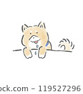 Hungry Shiba Inu 119527296