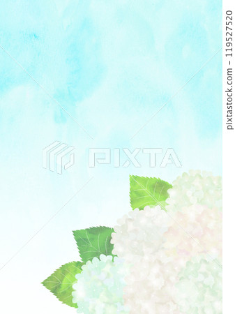 白色繡球花與天空水彩風格 白色繡球花與天空水彩風格 119527520