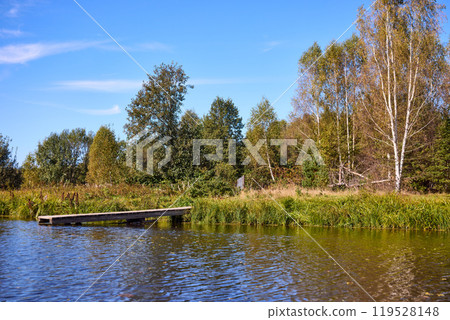 Serene Lakeside View with Wooden Pier and Trees Serene Lakeside View with Wooden Pier and Trees 119528148