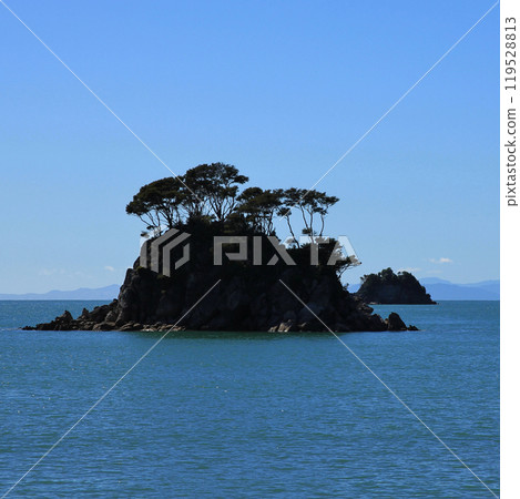 Outlines of a small island and trees near Nelson, New Zealand. Outlines of a small island and trees near Nelson, New Zealand. 119528813