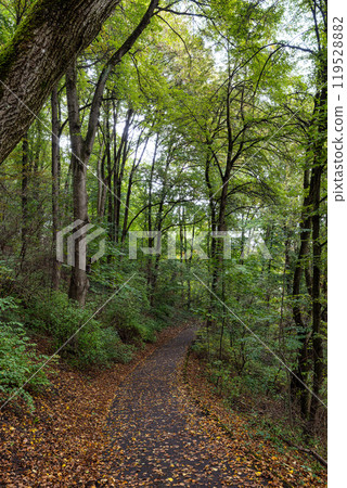 Autumn view of the Luitpold park near Olympic Park in Munich, Bavaria, Germany Autumn view of the Luitpold park near Olympic Park in Munich, Bavaria, Germany 119528882