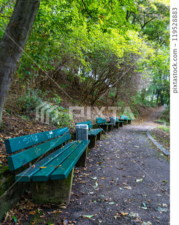 Autumn view of the Luitpold park near Olympic Park in Munich, Bavaria, Germany 119528883