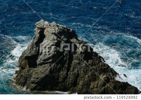 Porquerolles' rugged cliffs meet the clear Mediterranean 119528992