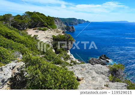 The island of Porquerolles and the calanque of the Indian (Calanque de l'Indienne), France 119529015