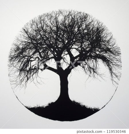 Silhouette of Leafless Tree in Circular Composition Silhouette of Leafless Tree in Circular Composition 119530346