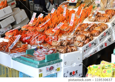 Nijo Market, Chuo Ward, Sapporo Nijo Market, Chuo Ward, Sapporo 119530637