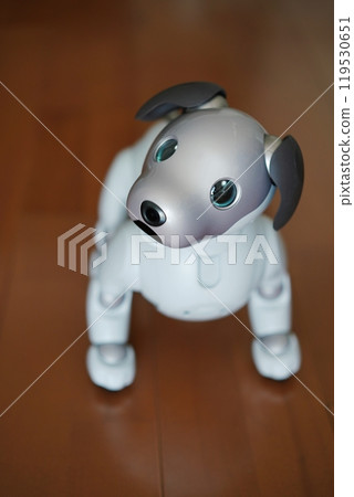 Cute robot dog 119530651