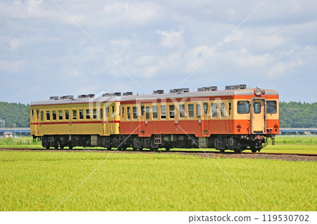 Hitachinaka Seaside Railway Nakane-Nakaminato Kiha 205 119530702