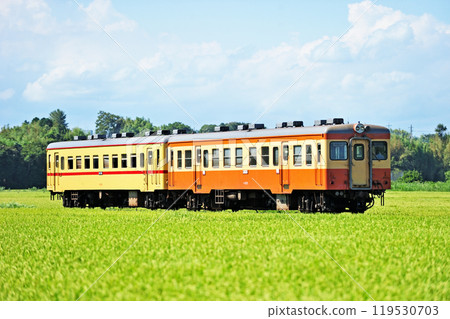 Hitachinaka Seaside Railway Nakane-Nakaminato Kiha 205 Hitachinaka Seaside Railway Nakane-Nakaminato Kiha 205 119530703