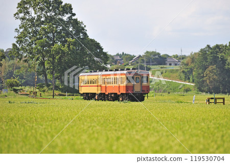 Hitachinaka Seaside Railway Nakane-Nakaminato Kiha 205 Hitachinaka Seaside Railway Nakane-Nakaminato Kiha 205 119530704