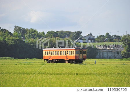 Hitachinaka Seaside Railway Nakane-Nakaminato Kiha 205 Hitachinaka Seaside Railway Nakane-Nakaminato Kiha 205 119530705