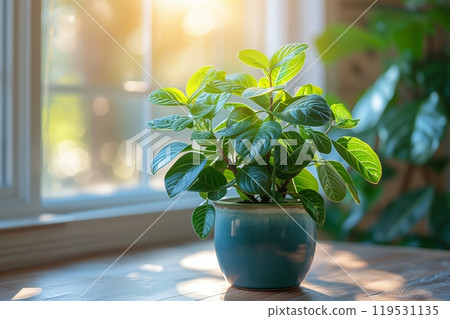 Urban sunset with utility poles and wires dominating the foreground, the sky painted in shades of orange and red, hinting at a city dusk 119531135