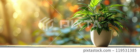 Lush indoor potted plant enjoying the warm, dappled sunlight of a relaxing afternoon Lush indoor potted plant enjoying the warm, dappled sunlight of a relaxing afternoon 119531385