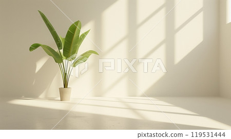 Minimalist indoor plant in a beige pot against a bright white wall with shadows 119531444