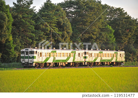 Karasuyama Line Shimonohanaoka - Niida JR East Kiha 40-1001 (Utsunomiya) Karasuyama Line Shimonohanaoka - Niida JR East Kiha 40-1001 (Utsunomiya) 119531477