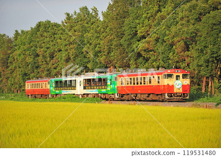Karasuyama Line Niida-Shimonohanaoka JR East Kiha 40-1007 (Utsunomiya) Kazekko Karasuyama Karasuyama Line Niida-Shimonohanaoka JR East Kiha 40-1007 (Utsunomiya) Kazekko Karasuyama 119531480
