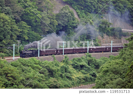 Joetsu Line Kamimaki-Minakami JR East D51-498 + old passenger car (Takasaki) SL Minakami Joetsu Line Kamimaki-Minakami JR East D51-498 + old passenger car (Takasaki) SL Minakami 119531713